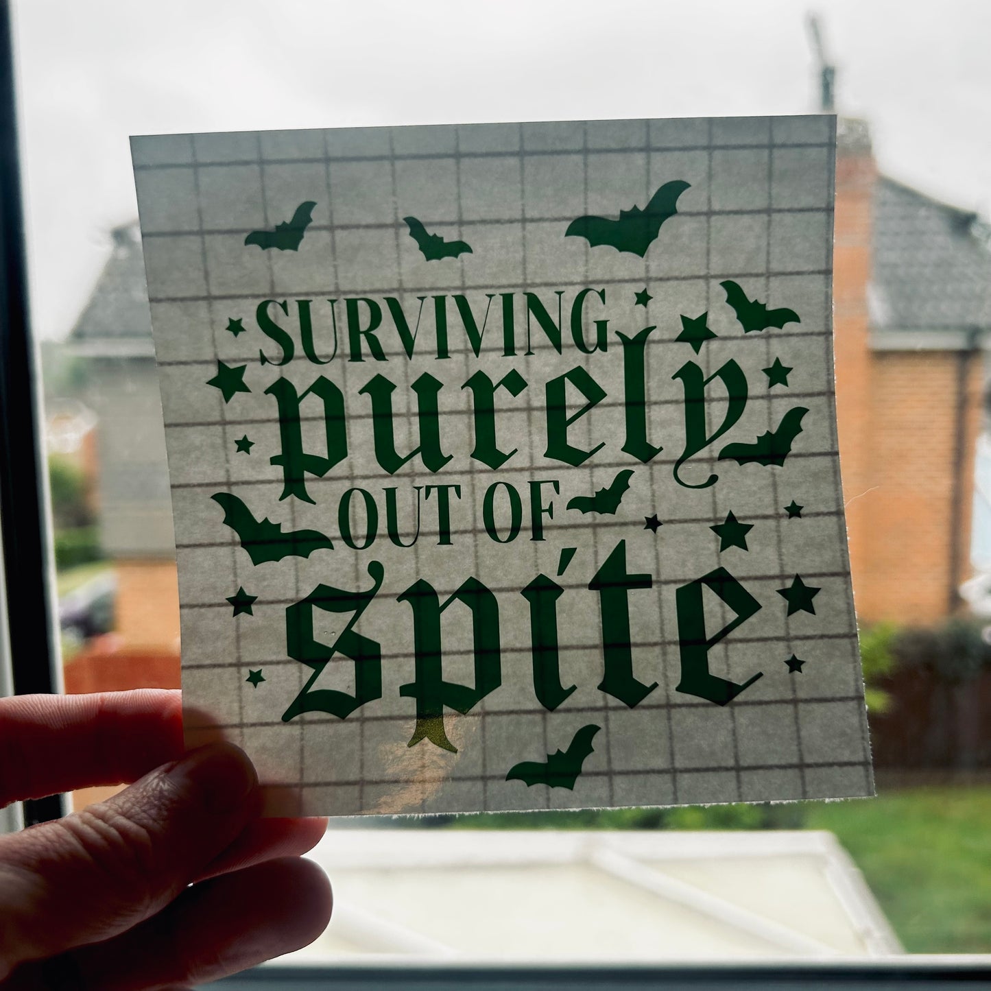 Surviving Out Of Pure Spite